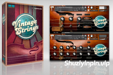 [复古弦乐] Big Fish Audio Vintage Strings [KONTAKT]（4.75GB）