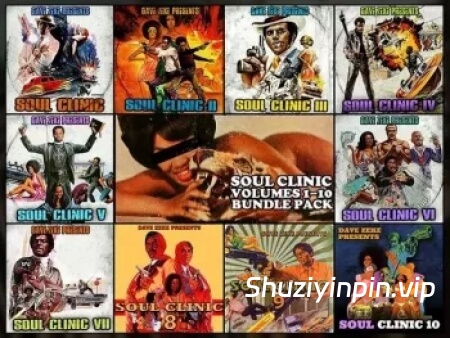 [300 个预切采样合集] Dave Zeke Soul Clinic Volumes 1-10 BUNDLE (300 Prechopped Samples) [WAV]（780.47MB）