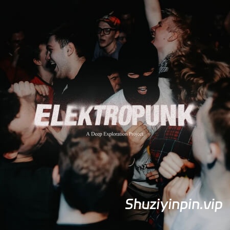 [电子乐素材] Armaku ElektroPunk Sample Pack [WAV, PDF]（2.03GB）