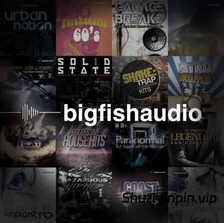 [Big Fish Audio综合素材包] Big Fish Audio BUNDLE 31-in-1 [多格式Kontakt]（46.2GB）
