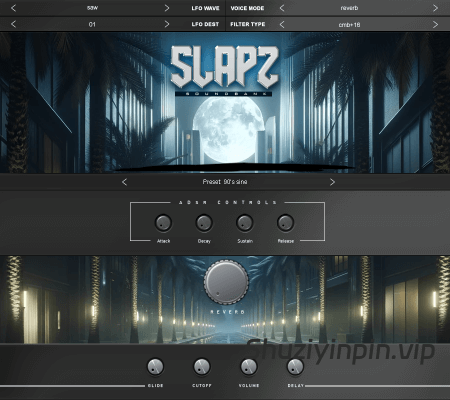 [现代西海岸嘻哈音色乐器插件] Diamond Loopz Slapz 2 VST RETAiL [WiN, MacOSX]（198MB）