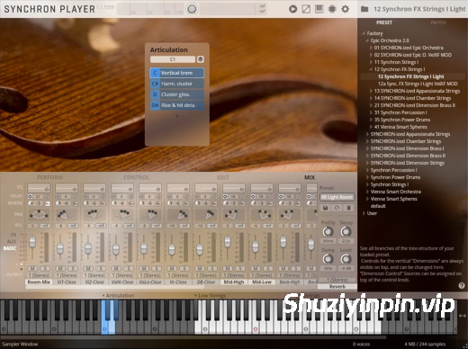 [专用的采样播放器] VSL Vienna Synchron Player v1.3.2652 Incl Emulator-R2R [WiN]（115.2MB）