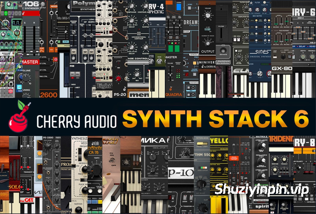 [36 款虚拟乐器合集] Cherry Audio Synth Stack 6-R2R [WiN]（1.35GB）
