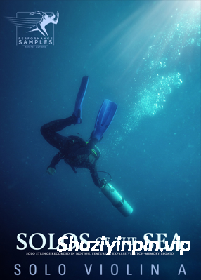 [独奏连奏小提琴音源] Performance Samples Solos of the Sea Solo Violin A [KONTAKT]（160MB）