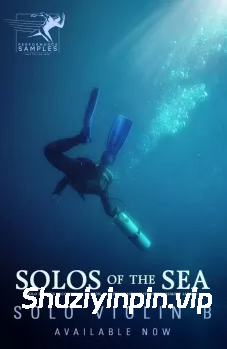 [独奏连奏小提琴音源] Performance Samples Solos of the Sea Solo Violin B [KONTAKT]（491MB）
