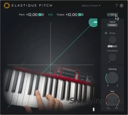 [实时音高转换插件] zplane elastiquePitch V2.5.0-V.R [MacOSX]（16.82MB）