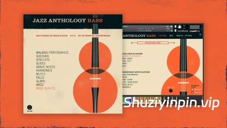 [爵士贝斯乐器音色库] Authentic Soundware Jazz Anthology Bass [KONTAKT]（5.06GB）