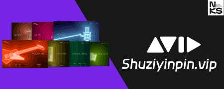 [兼容Pro Tools 版本 70 种乐器音色库] Pro Tools Factory Essentials v1.0.0 [KONTAKT]（3.2GB）