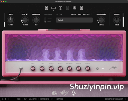 [牛X的吉他效果插件]Neural DSP Archetype Tim Henson X v1.0.1-R2R [WiN]（75.1MB）