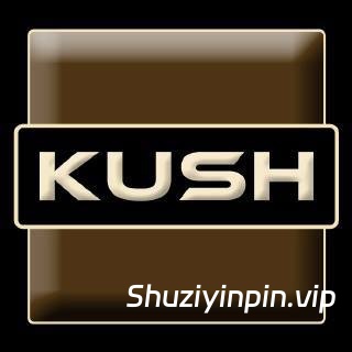 [Kush 音频套装] Kush Audio Bundle v2025.11 [U2B] [MacOSX]（1.29GB）