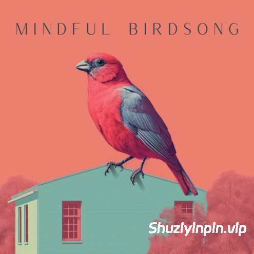 [禅意鸟鸣音效库] Sound FX Zone Mindful Birdsong [FLAC]（1.32GB）