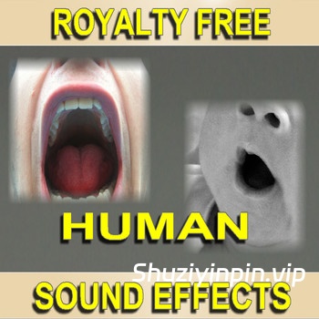 [电影特效人群和群体音效] Sound Effect Kings Royalty Free Human People and Crowd Sound Effects (197 Tracks) FLAC（373.15MB）