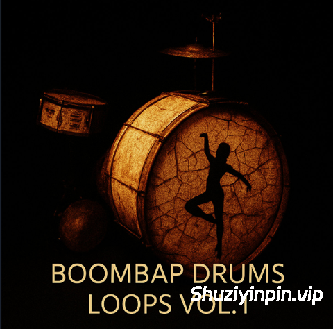 灵魂RnB鼓组采样]DJ Tools 4 Turntablism Boom Bap Drums Vol.2 [WAV]（35.96MB）