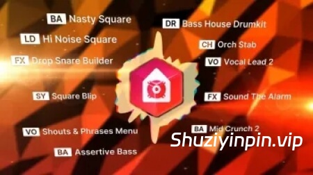 [新：Nexus 5扩展贝斯浩室] reFX Bass House Nexus 5 Expansion [Synth Presets]（922.1MB）