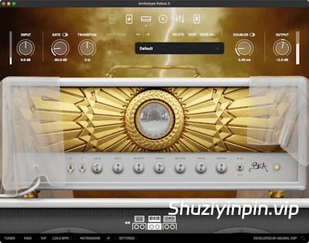 [吉他音箱模拟效果器]Neural DSP Archetype Rabea X v1.0.1 [WiN, MacOSX]（92.53MB+740MB）