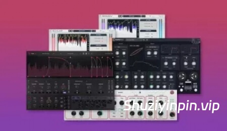 [Caelum音频插件集合] Caelum Audio Plugins Collection 12-2025-Xdb [MacOSX]（439.54MB）