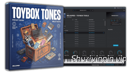 [氛围嘻哈陷阱素材Analog Lab预置] Relooped ToyBox 100 Analog Lab Preset Bank [WAV, MiDi]（1.93GB）