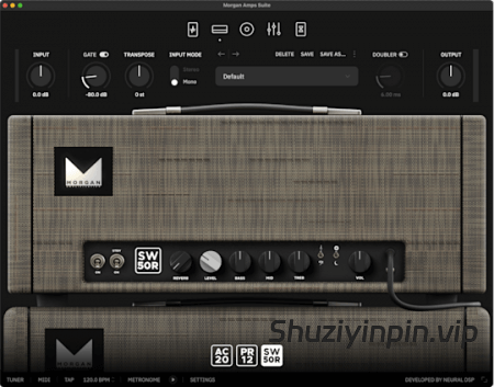 [经典吉他放大器] Neural DSP Morgan Amps Suite v1.1.1-R2R [WiN]（104.6MB）
