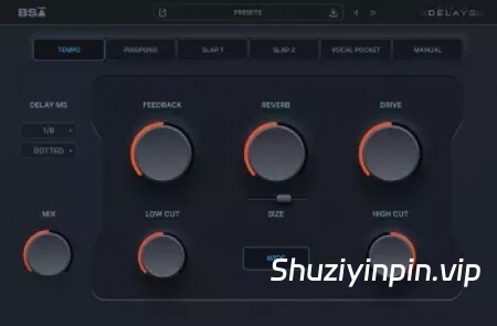 [延迟效果器] Black Salt Audio BSA Delays v1.0.12-SEnki [WiN]（20MB）