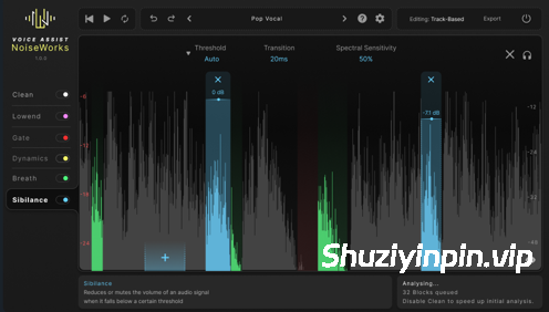 [重磅：AI智能快速专业语音编辑工具] NoiseWorks VoiceAssist v1.0.10 Incl. Keygen-MOCHA [WiN]（1.3GB）