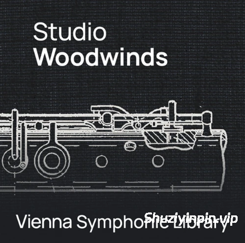 [维也纳交响乐库木管乐器套装] VSL Vienna Symphonic Library Studio Woodwinds (VSL Synchron Player)（58GB）