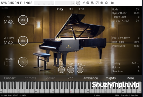 [专用的钢琴播放器] Vienna Symphonic Library Vienna Synchron Piano Player v1.3.1542 Incl Emulator [WiN]（93.9MB）