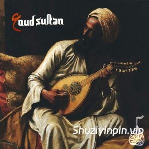 [民族东方阿拉伯波斯风情素材包] LBandyMusic Oud Sultan [WAV, AiFF, KONTAKT]（471MB）