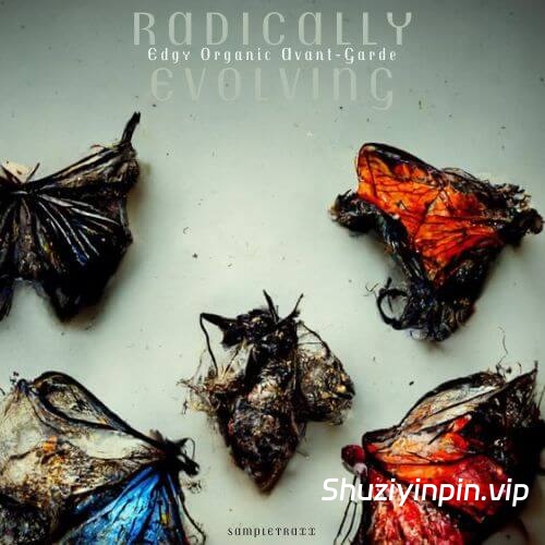 [影视乐采样] SampleTraxx Radically Evolving [WAV]（1.23GB）