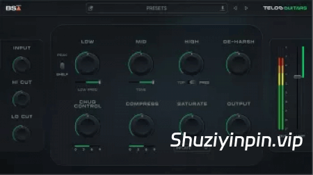 [吉他混音插件] Black Salt Audio Telos Guitars v1.0.6 [WiN]（137MB+16.75MB）