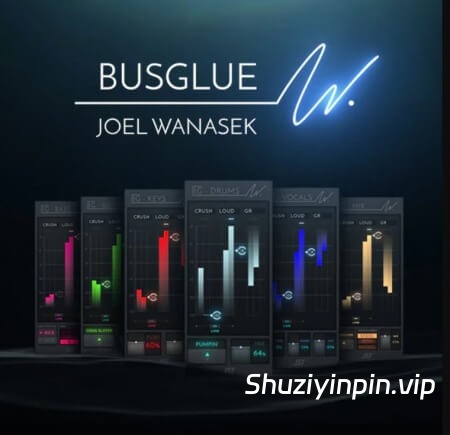 [总线压缩器音频插件套装] Joey Sturgis Tones Joel Wanasek Bus Glue Bundle v1.0.6 [WiN]（17.1MB）