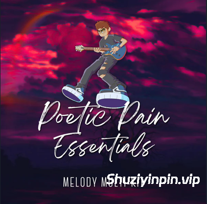 [终极乡村流行摇滚旋律多素材包]Bino Beats Poetic Pain Essentials Melody Multi-Kit [WAV]（4.62GB）