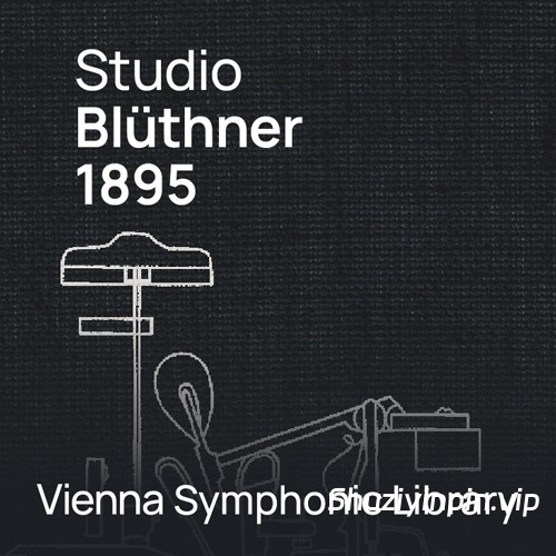 [附加：布鲁特纳音乐会三角钢琴] Vienna Symphonic Library Studio Bluthner 1895 Additional for Synchron Pianos [WiN]（17.9GB）