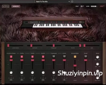 [经典和弦键盘乐器] AIR Music Technology Solina v1.2.1.14-Xdb [MacOSX]（120.06MB）