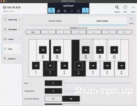 [物理建模笛子木管乐器] Audio Modeling SWAM VariFlute v1.0.1 [WiN]（26.7MB+26.48MB）