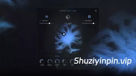 [影视配乐冬季氛围音源] Native Instruments Scene Willow v1.0.1 [KONTAKT]（1.4GB）
