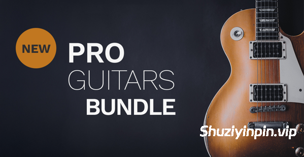 [30个吉他采样包合集] Steinberg Pro Guitar Bundle [VSTSOUND]（33.21GB）