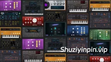 [2gether音频插件套装] 2gether Audio Plugins Bundle 2025-R2R [WiN]（375.53MB）