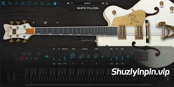 [空心吉他音源] Ample-Sound Ample-Guitar WF v4.0.1 [WiN, MacOSX]（6.3GB）