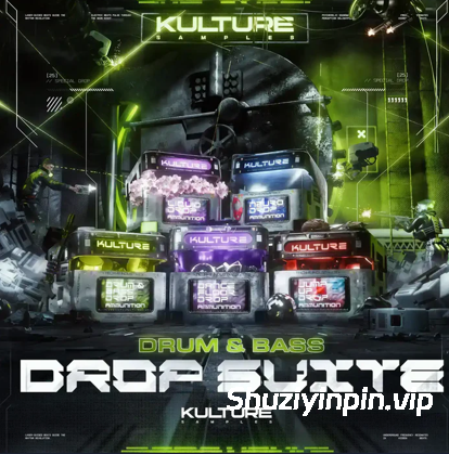 [鼓打贝斯素材Serum预置FL模板Ableton模板] Kulture Samples Drum and Bass Drop Suite [WAV, MiDi]（7.35GB）