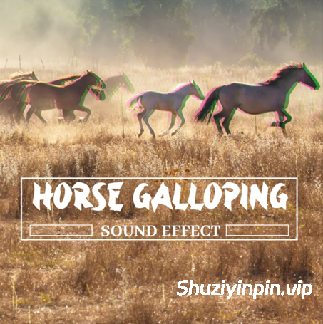 [马蹄声效FX素材] Pro Sound Effects Library Horse Galloping Sound Effect [FLAC]（151MB）