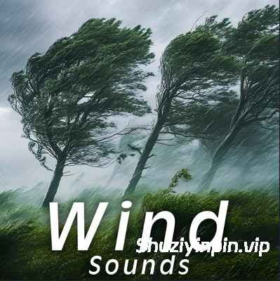 [风声音效FX素材] Sound Ideas Wind Sounds [FLAC]（687MB）