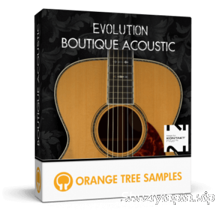 [钢弦原声吉他音源] Orange Tree Samples Evolution Boutique Acoustic v1.3.0 [KONTAKT]（5.44GB）
