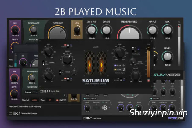 [效果器合集] 2B Played Music Plugin Bundle-R2R [WiN]（44.46MB）