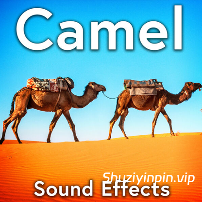 [骆驼音效FX素材] Sound Ideas Camel Sound Effects [FLAC]（62MB）