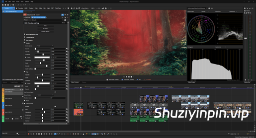 [经典专业视频制作创意工具] Boris FX Vegas Pro Ultimate v2026.0.0-R2R [WiN]（549.62MB）