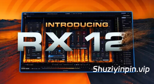 [降噪修复分离平衡工具插件包] iZotope RX 12 Audio Editor Advanced v12.0.0 U2B [MacOSX]（260GB+)