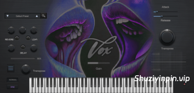 [RnB灵魂乐人声插件] True Soul Vibes RnB Vox 1.0.0 RETAiL-MOCHA [WiN]（68.68MB）