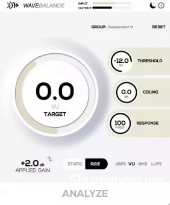 [增益分级插件] CodWaves WaveBalance v1.0.0 Incl Patched and Keygen-R2R [WiN]（5.92 MB)