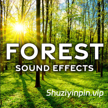 [森林FX音效素材] Sound Ideas Forest Sound Effects [FLAC]（1.36GB）