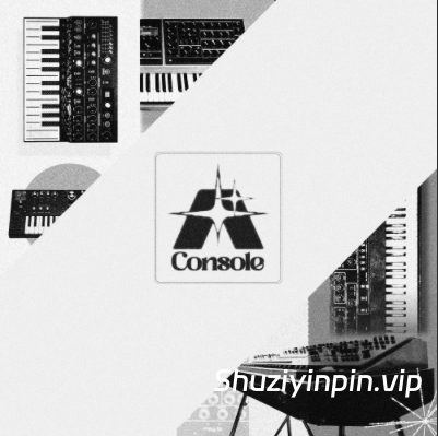 [Analog Lab预置Pigments预置怀旧乐] Synth Palace Analog Console (Analog Lab Bank and Pigments) v1.5 Update（6GB）